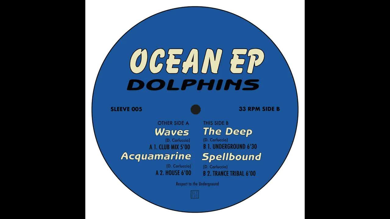  - Dolphins