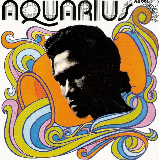 Aquarius Dub - Herman Chin Loy