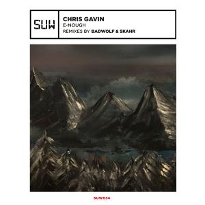 E​-​nough - Chris Gavin