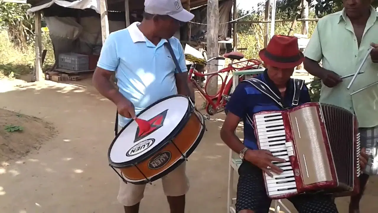  - Zezinho do Acordeon