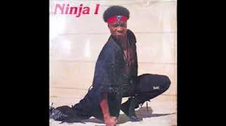 Ninja 1 - Ninja