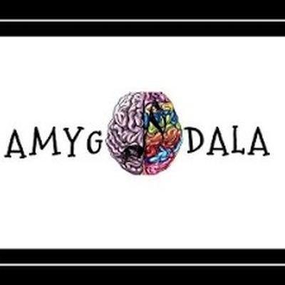  - Amygdala