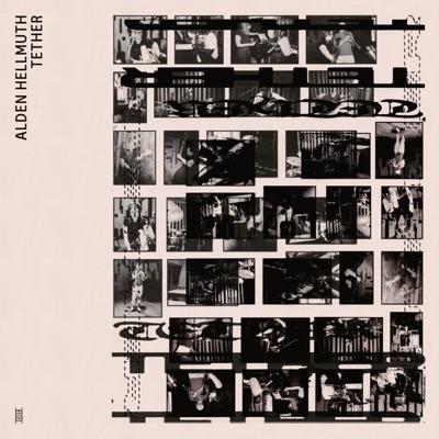 Microfictions - Alden Hellmuth