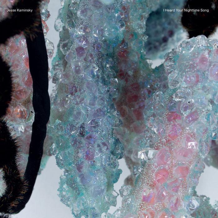 I Heard Your Nighttime Song - Jesse Kaminsky