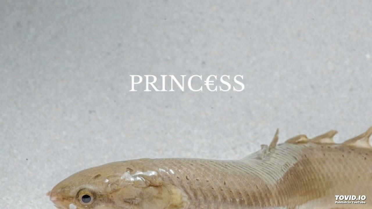 Princ​€​ss - Princ​€​ss