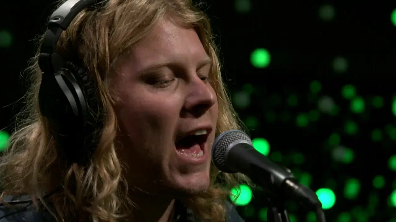 Joy - Ty Segall & White Fence