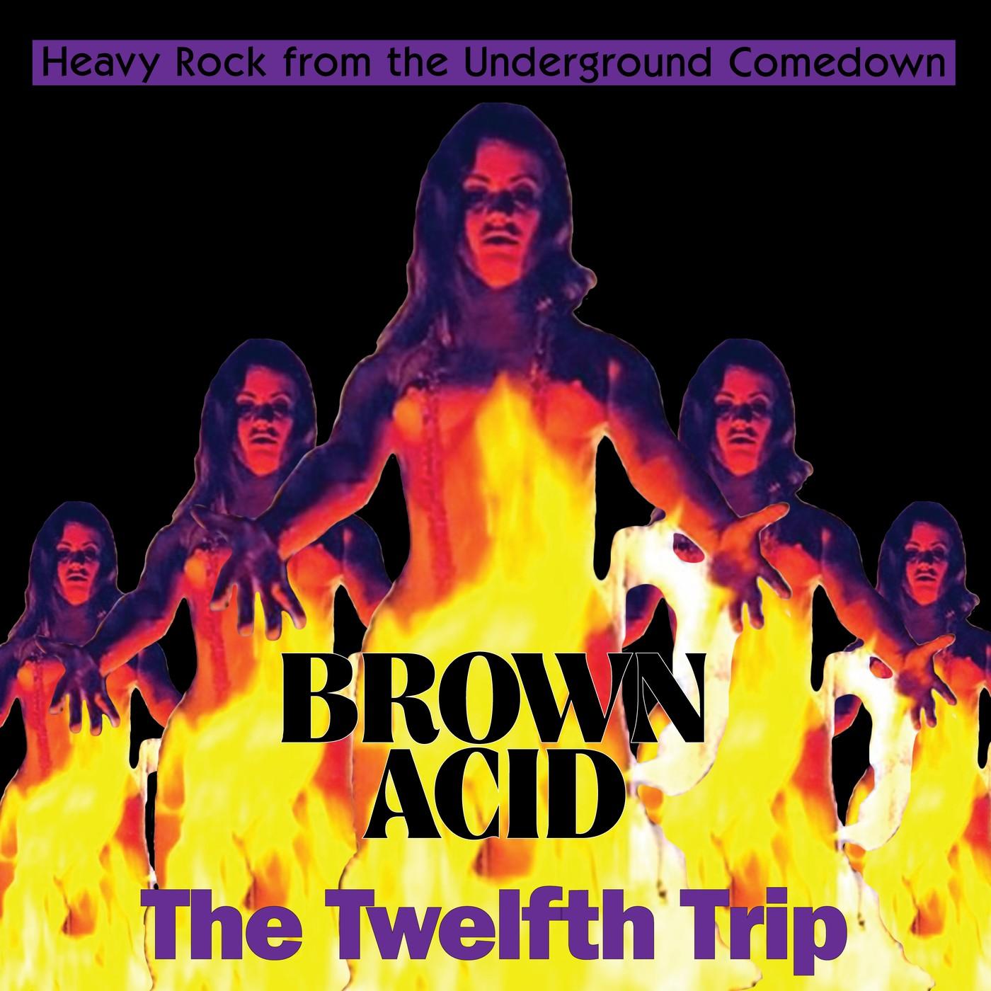 Brown Acid "The Twelfth Trip" - Shane