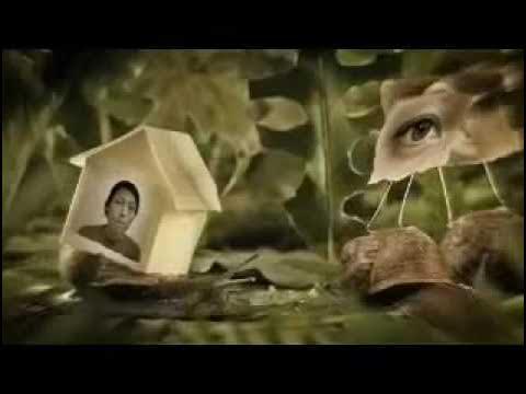  - Little Dragon