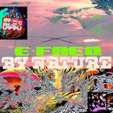  - E-Freq