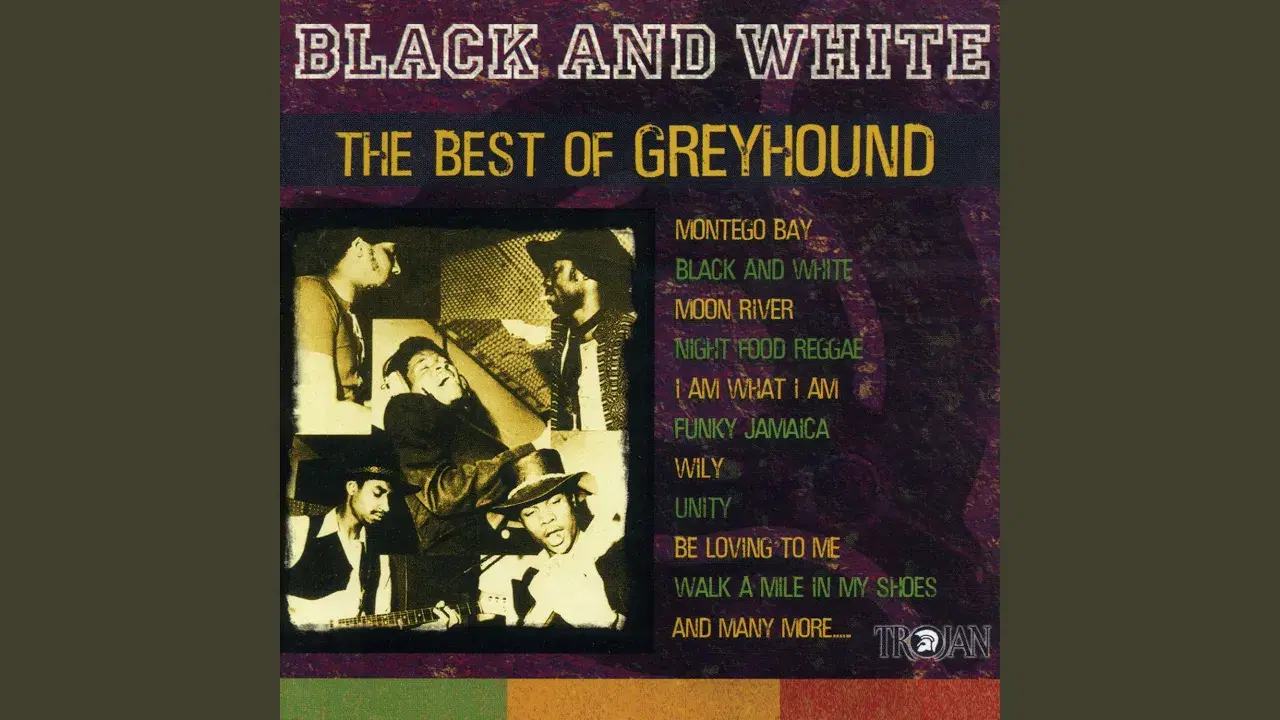 Black And White - Greyhound