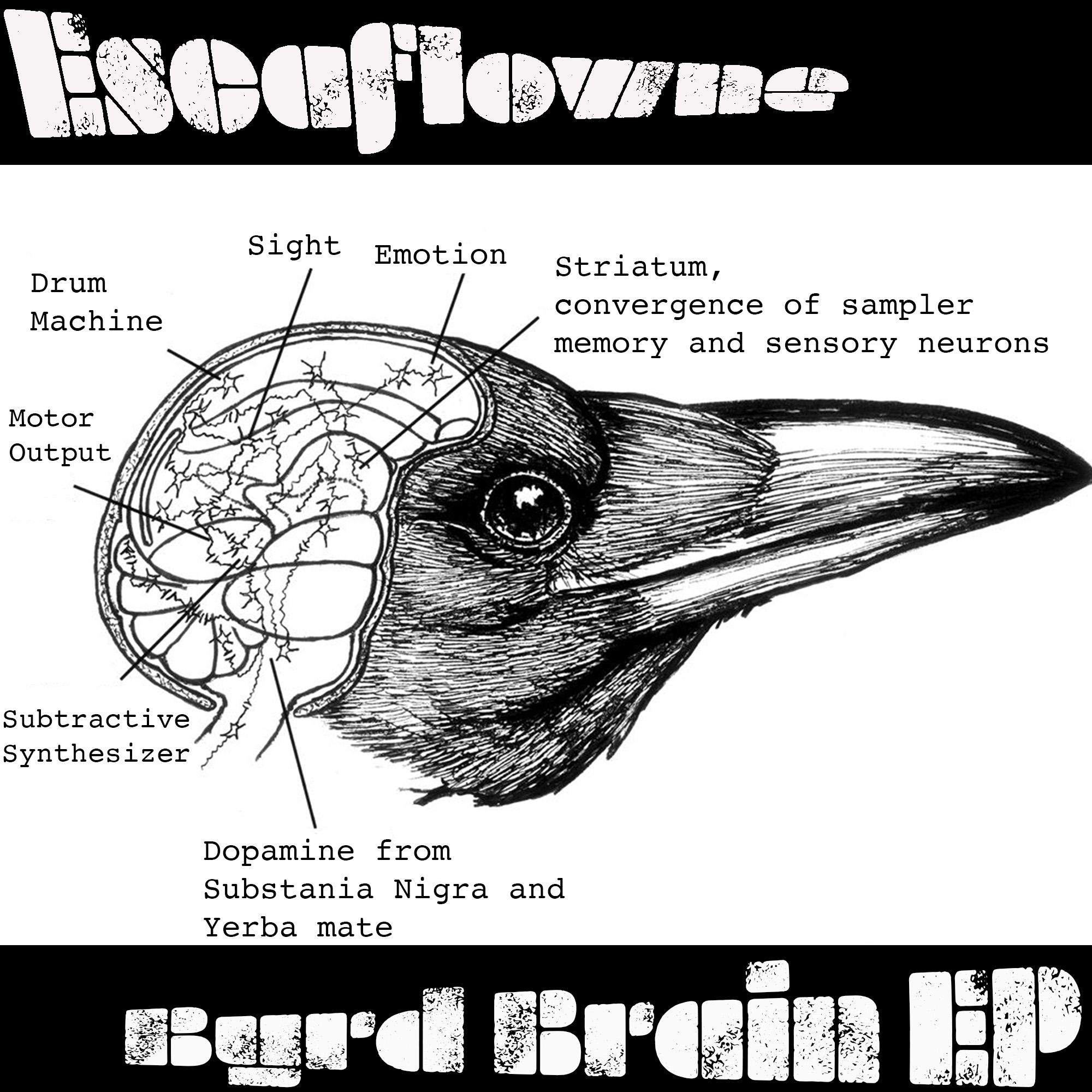 Byrd Brain EP - Escaflowne