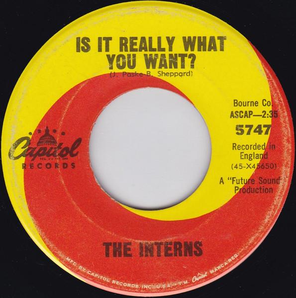 Is It Really What You Want? / Just Like Me - The Interns