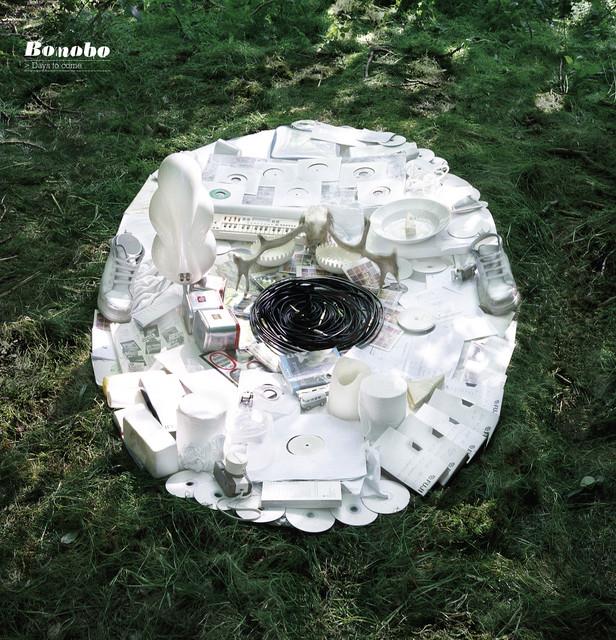 Days To Come - Bonobo, Bajka