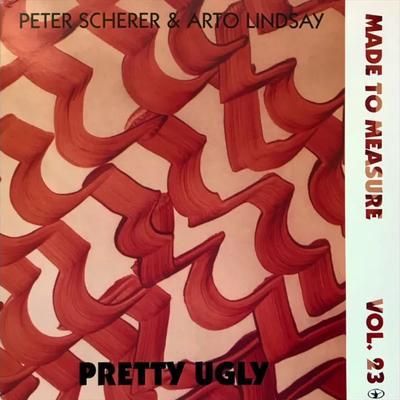 Pretty Ugly - Peter Scherer & Arto Lindsay
