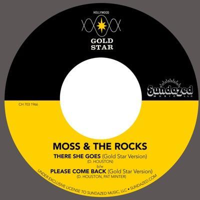  - Moss and the Rocks