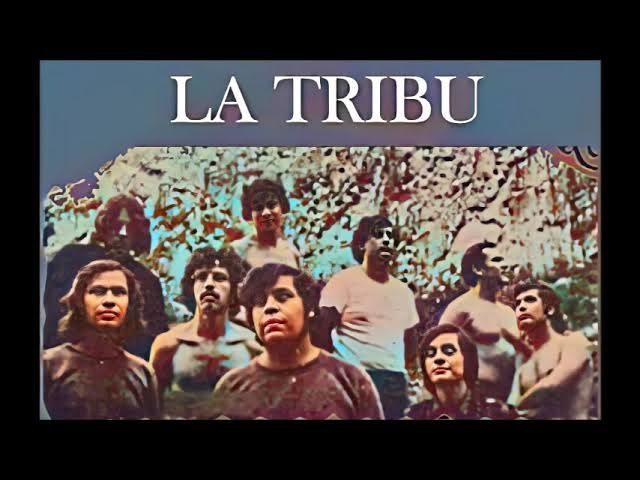  - La Tribu