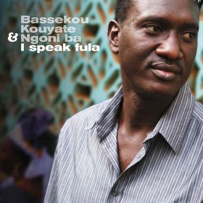 The Rough Guide to Desert Blues - Ngoni Ba