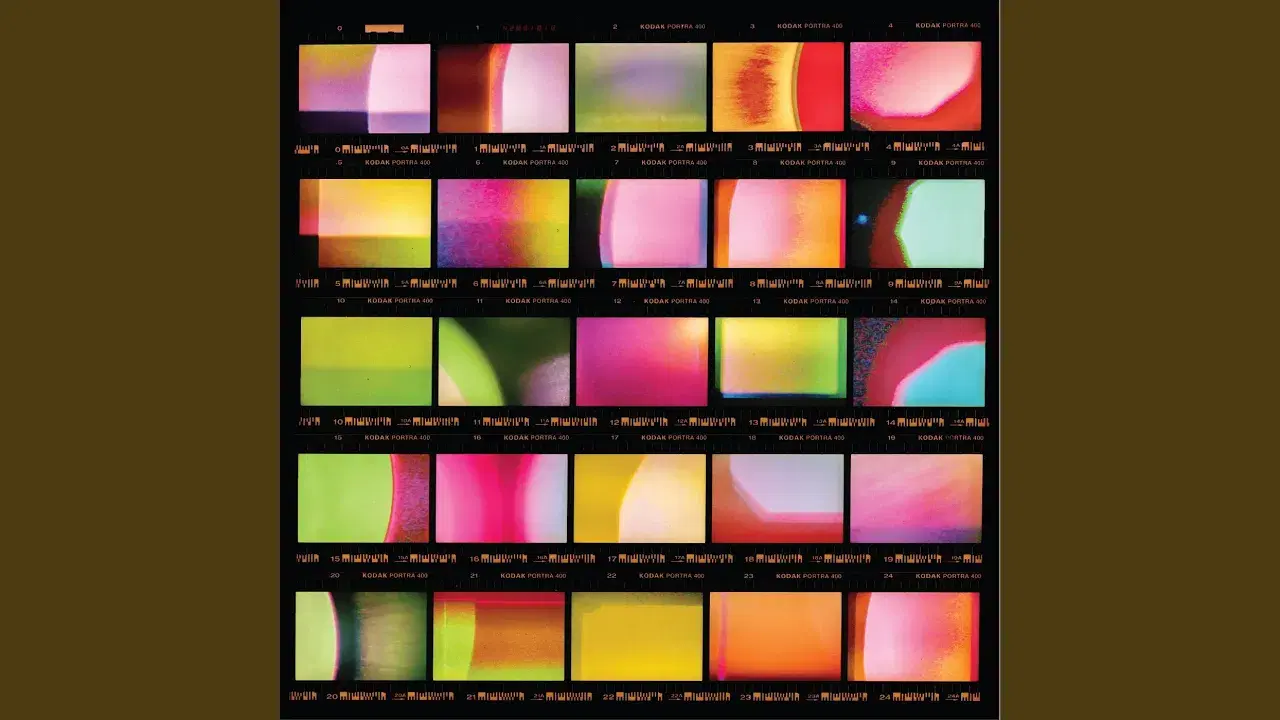 Viewfinder - Wendy Eisenberg