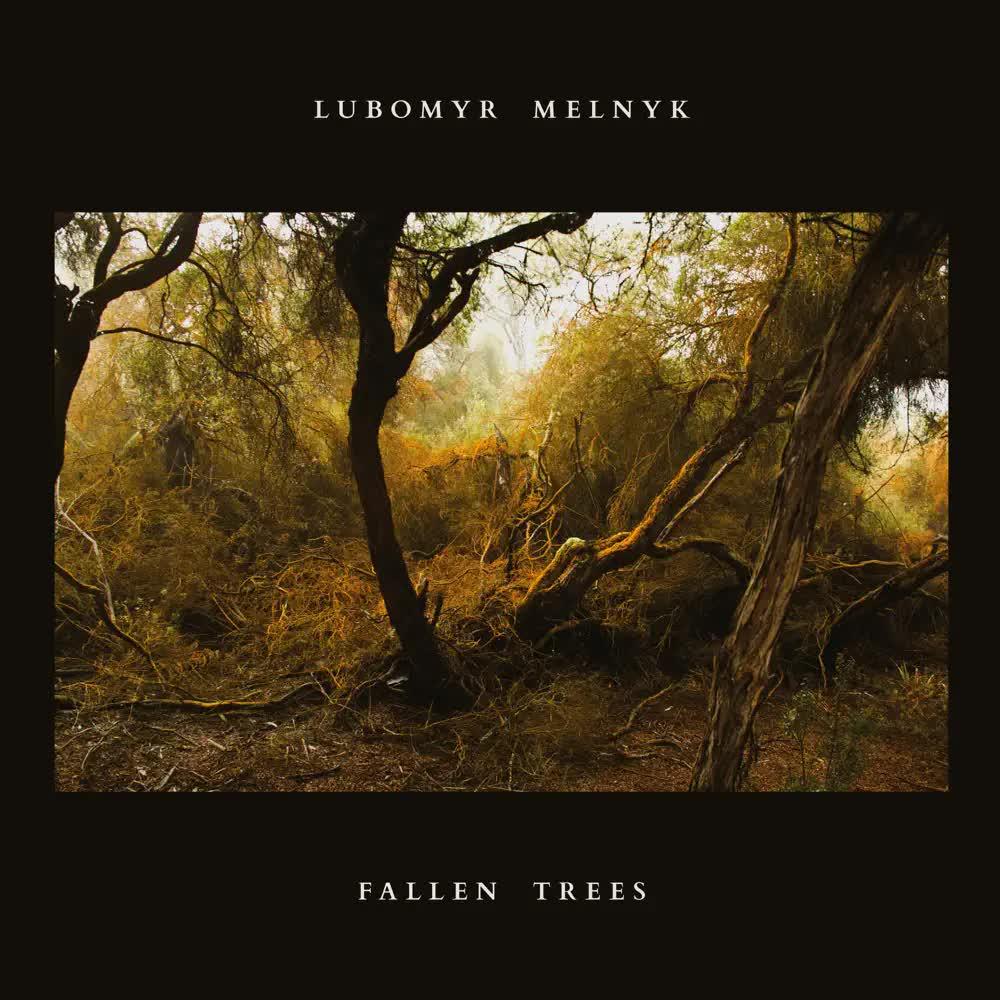 Fallen Trees  - Lubomyr Melnyk