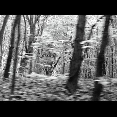 Sleeper Coach - Zelienople