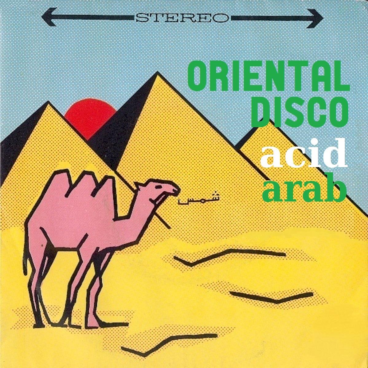 oriental disco & acid arab (2012) - Ahmed Fakroun