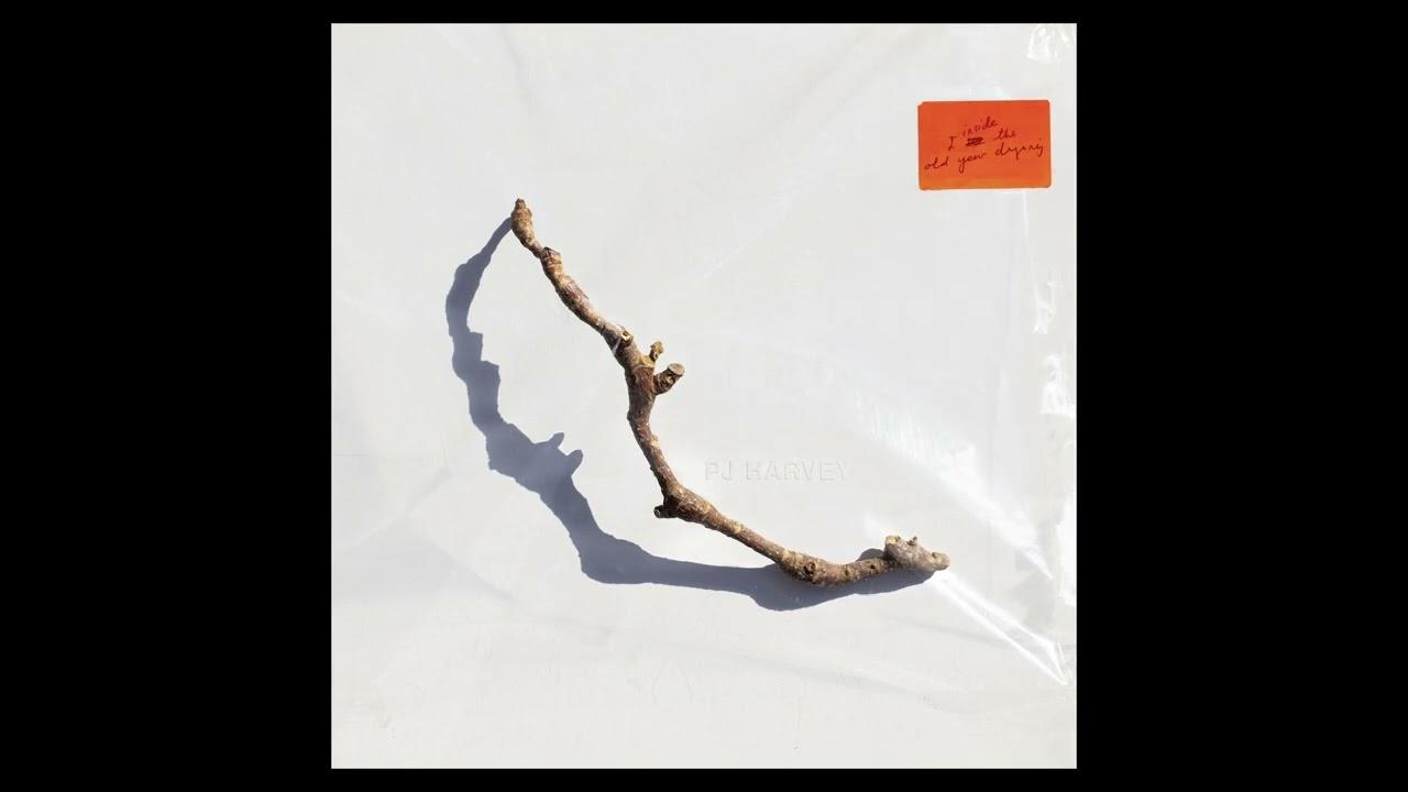I Inside The Old Year Dying - PJ Harvey