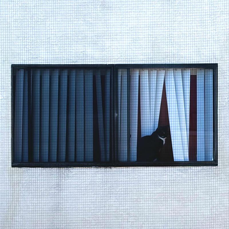 Pipe - Sega Bodega / Vashti Bunyan