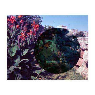 Bluebird / Number 13 - Leif