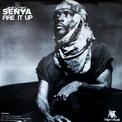 Fire It Up - Senya