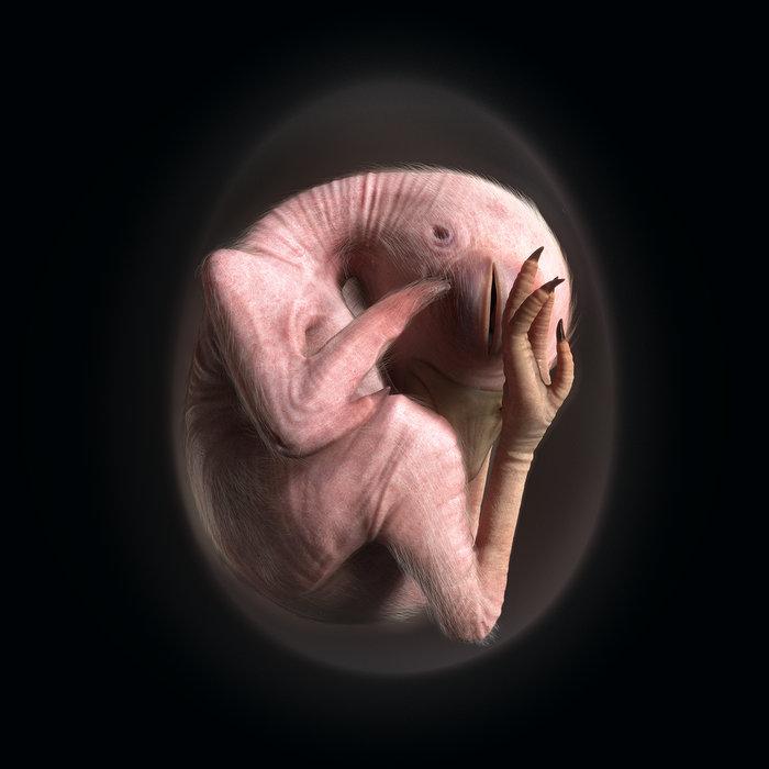 Flesh Renewed - Phase 1: Osiris