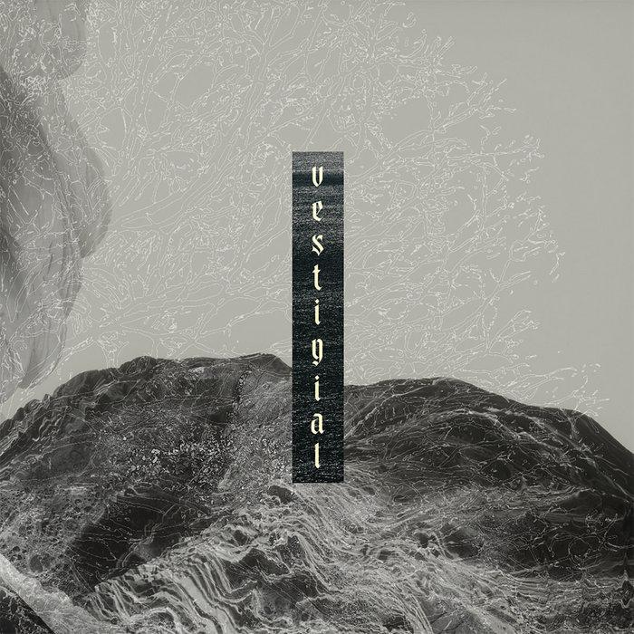 Descending Vastness - Vestigial