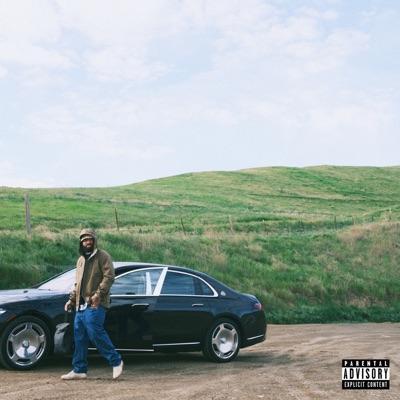 Imported Couches - Larry June