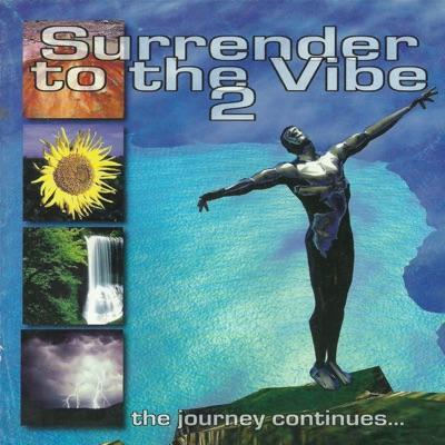 Surrender to the vibes 2 - Mindfield