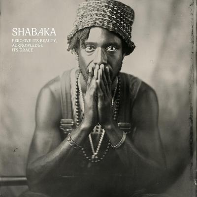 Perceive Its Beauty, Acknowledge Its Grace - Shabaka Hutchings