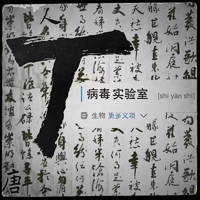 T病毒實驗室 - 唐人踢
