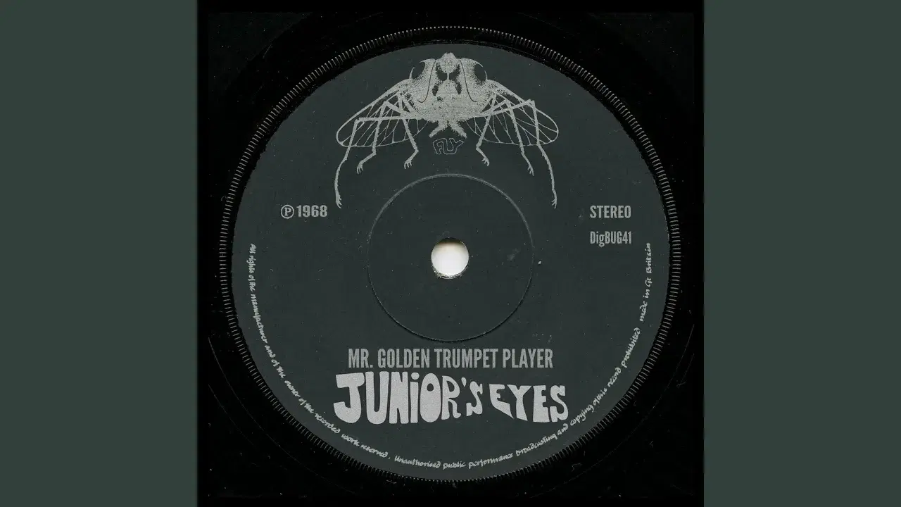  - Junior's Eyes