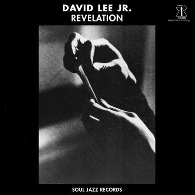 Revelation - David Lee Jr