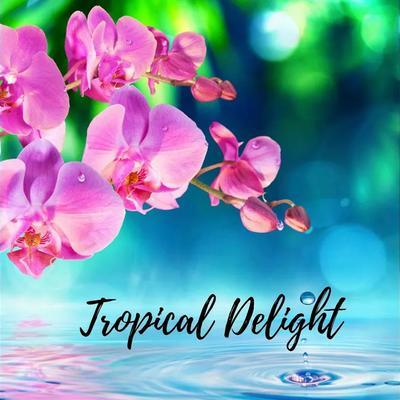 2025-02-21 1353 - NIVEL TROPICAL 6