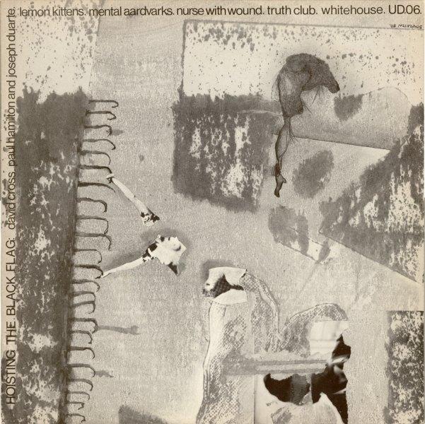 Hoisting The Black Flag - Mental Aardvarks