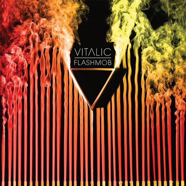 Flashmob - Vitalic