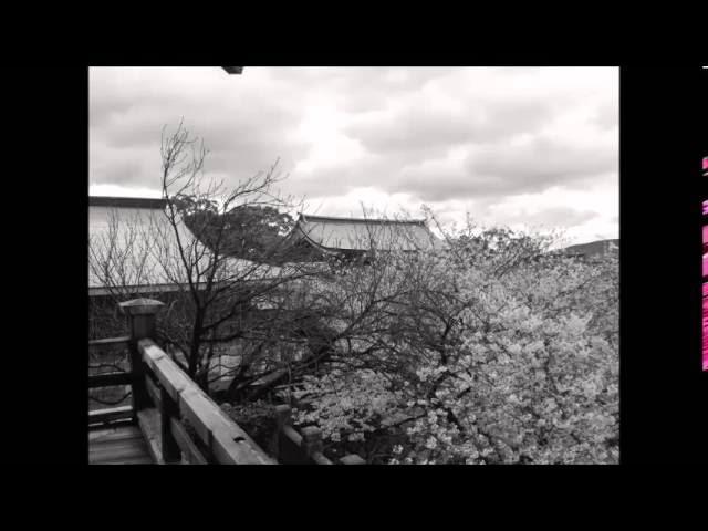  - 山崎ハコ