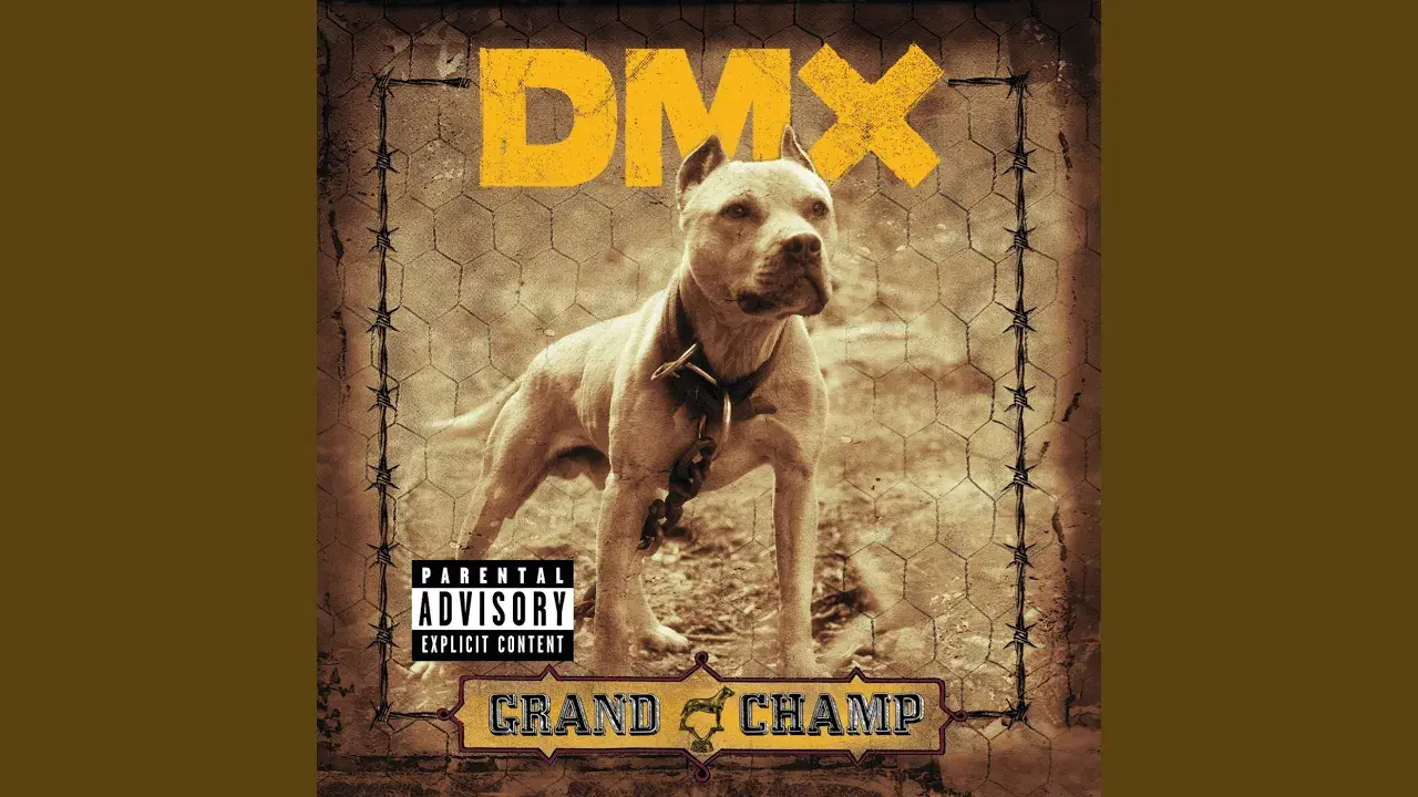  - DMH