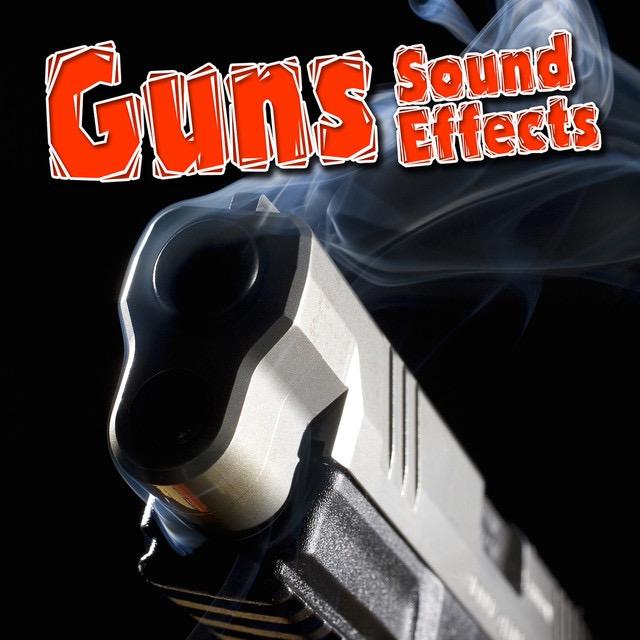 Guns Sound Effects - Dr. Sound FX
