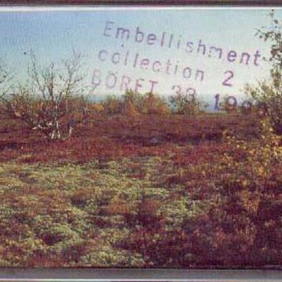 Embellishment Collection 2 - Systema Scrotum