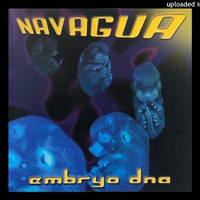 Embryo Dna - Navagua