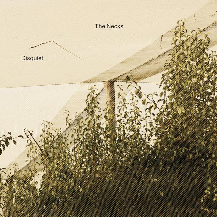 Disquiet - The Necks