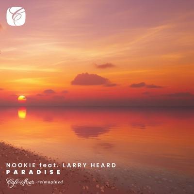 n/a - Nookie feat. Larry Heard