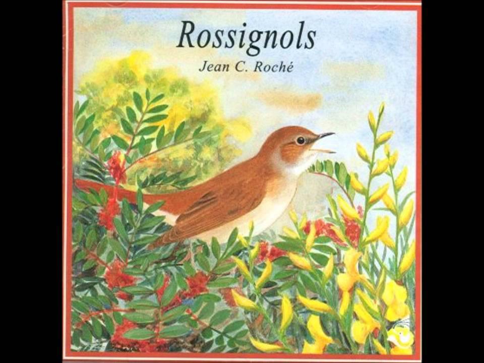 Rossignols: A Nocturne Of Nightingales - Jean-Claude Roché