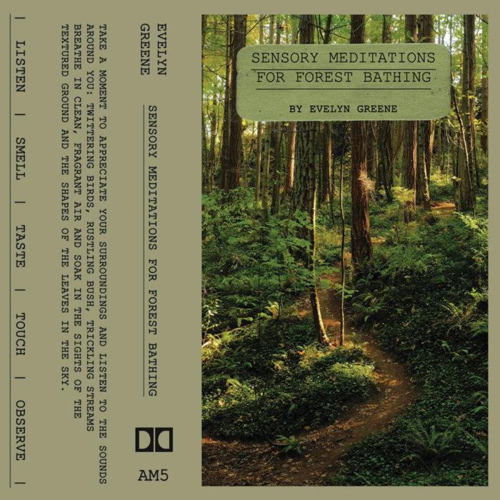 Sensory Meditations For Forest Bathing by Evelyn Greene - Archaic Meditations