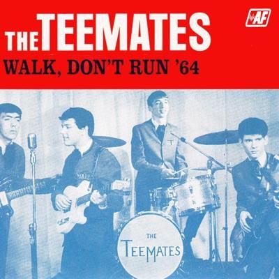 Lost Legends Of Surf Guitar  Vol. 4  Shockwave - Teemates